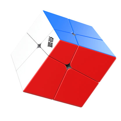 DianSheng Squished 2x2 (Magnetic) 1