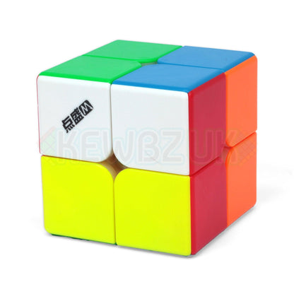 DianSheng 2x2 (Magnétique)