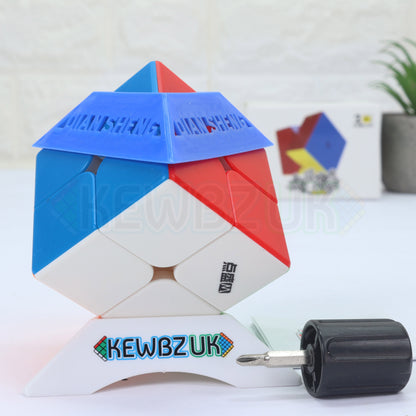 DianSheng 2x2 (Magnétique)