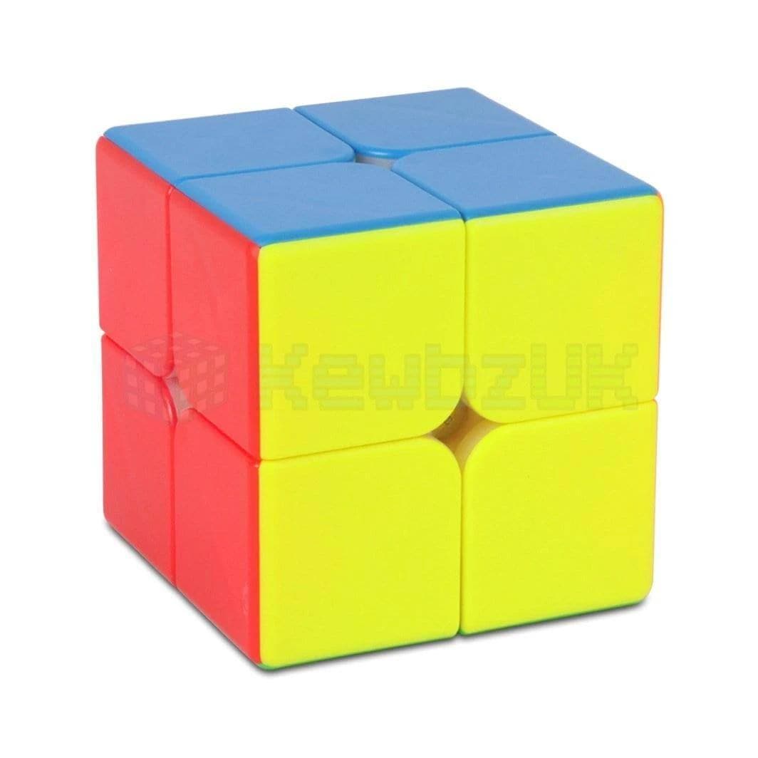 DianSheng 2x2 (Magnétique)