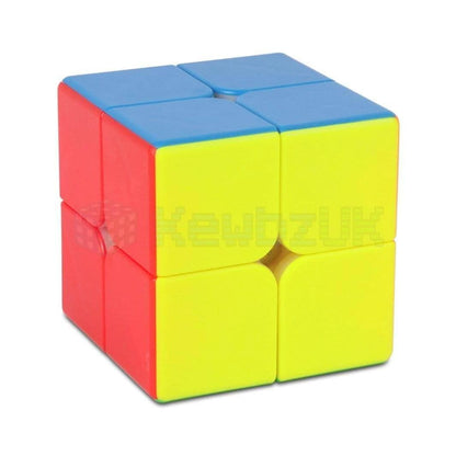 DianSheng 2x2 (Magnétique)