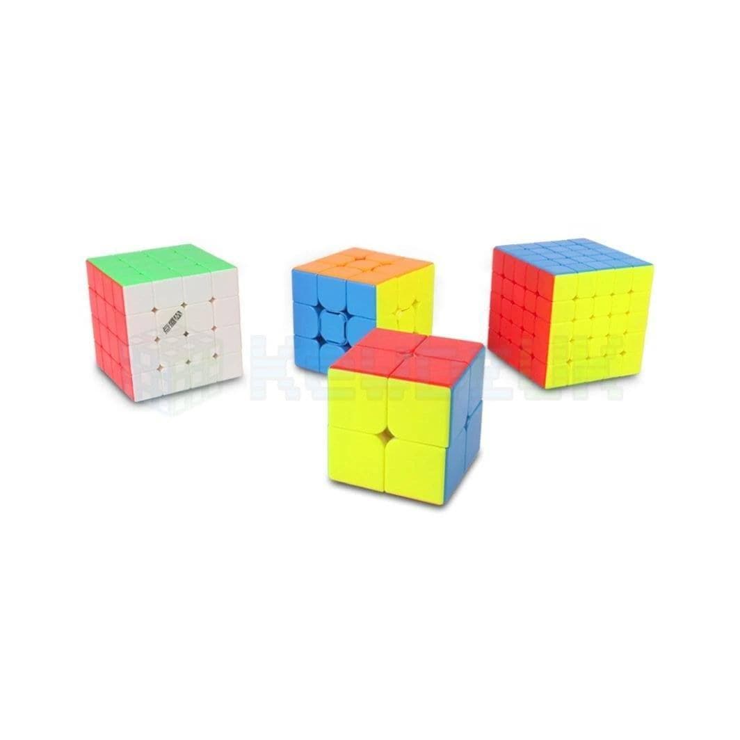 DianSheng 2x2 (Magnétique)