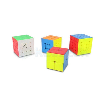 DianSheng 2x2 (Magnétique)