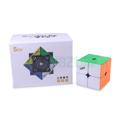 DianSheng Solar S2M (Magnétique)